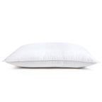 Μαξιλάρι Ύπνου Cannon Scotch 51X66